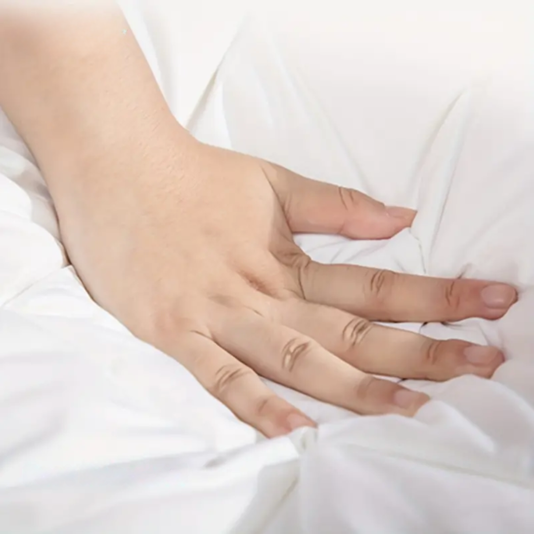 luxury goose down pillow