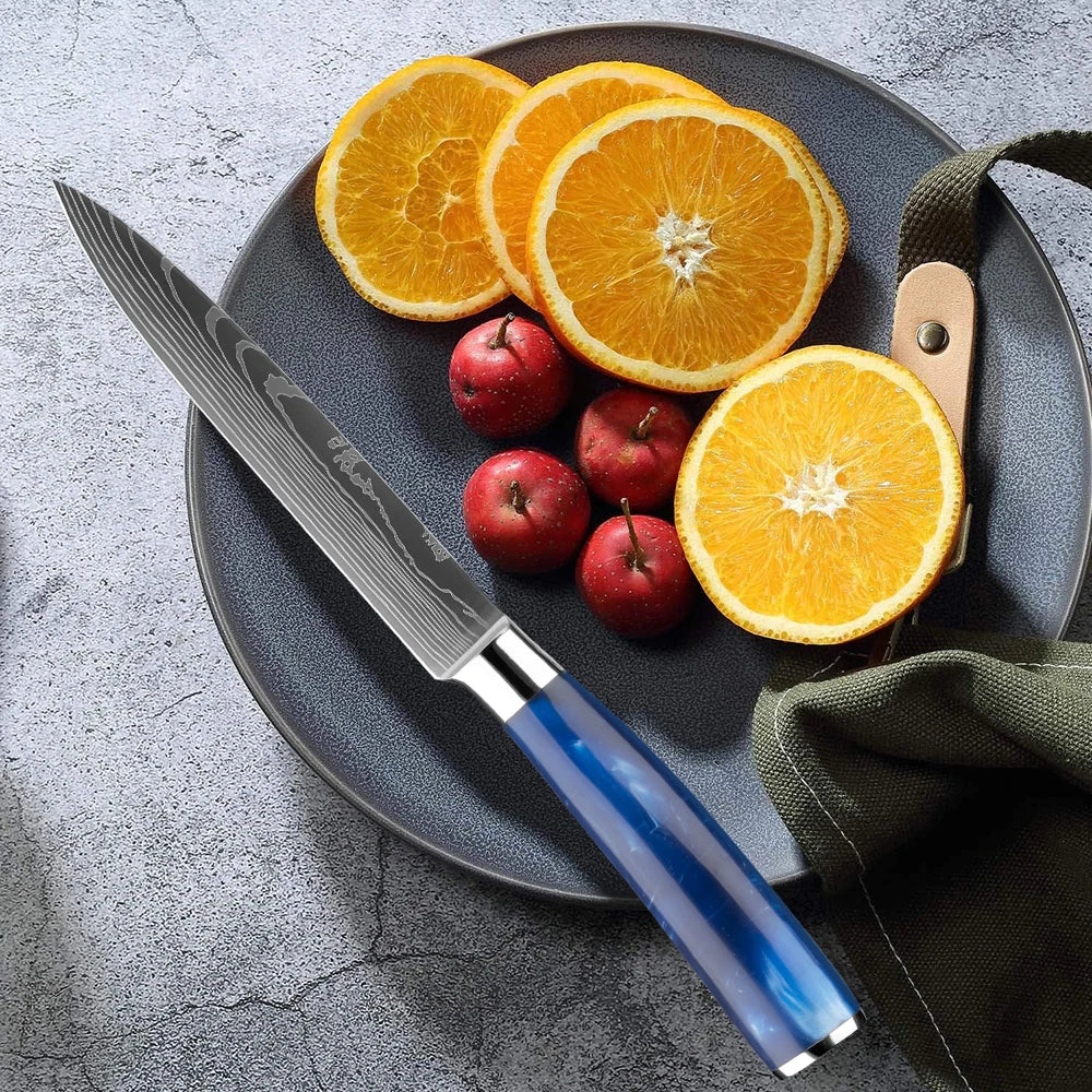 Shinano 信濃川 Damascus Pattern Stainless Steel Knife Set