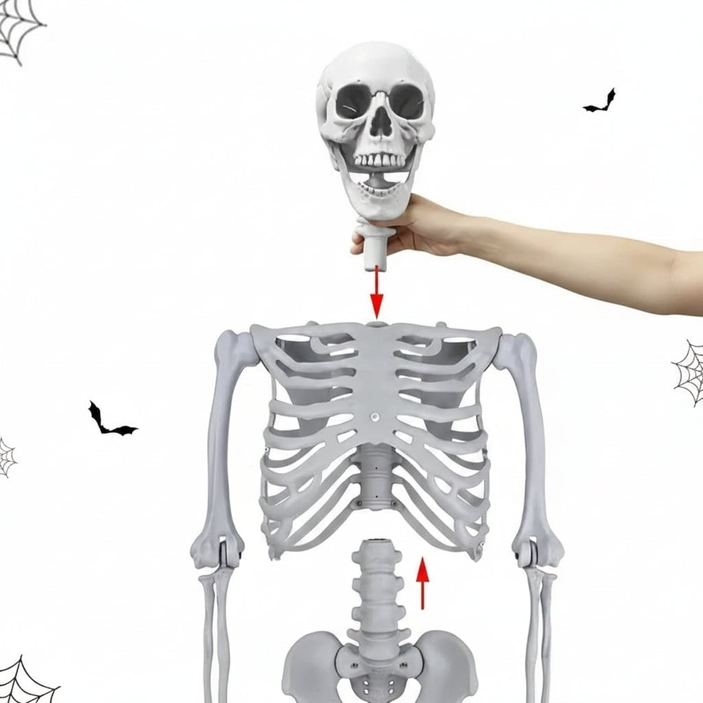 Halloween Skeleton Decoration Life Size Poseable Articulated Prop for Outdoor Yard and Party Display