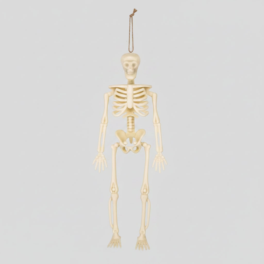 Halloween Skeleton Decorations Mini Plastic Posable Figurines with Jute Twine for Party and Haunted