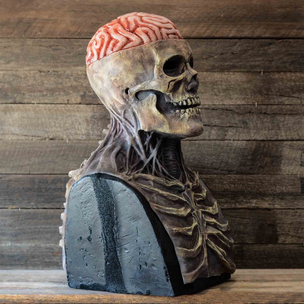 Halloween Skull Mask Horror with Exposed Brain and Chest Bib Full Head Latex Skeleton Creepy Costume