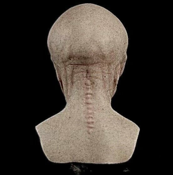 Realistic Alien Latex Mask – Full Head Silicone Sci-Fi Costume Prop for Halloween, Parties & Cosplay
