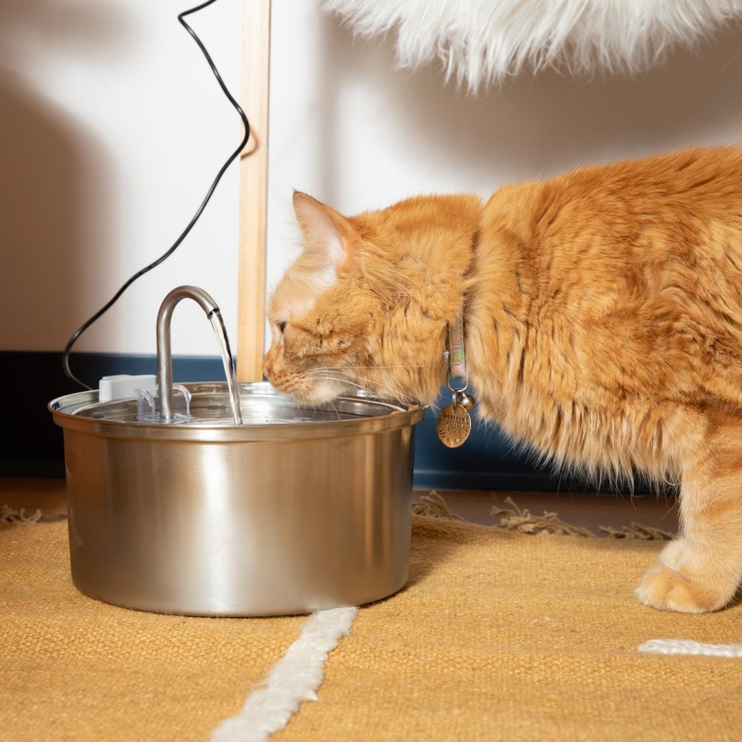 3.2 L Automatic Pet Fountain 304 Stainless Steel Cat Water Dispenser with Filter