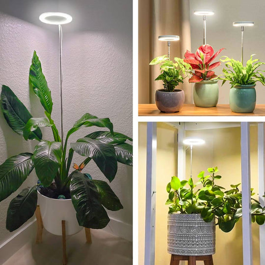 LED Plant Growth Lamp – Circular Design with 5 Brightness Levels, 4 Height Adjustments & Timer Options