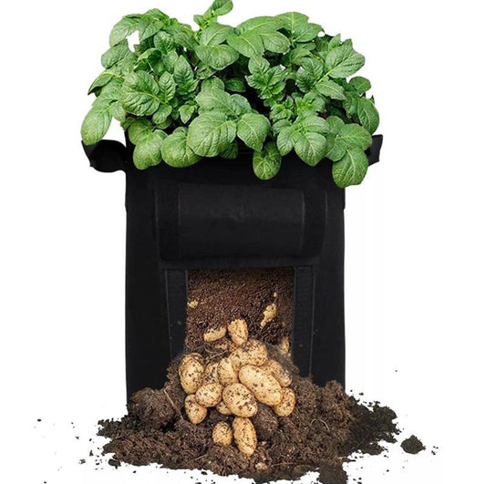 Avichic® Felt Potato Growth Bags