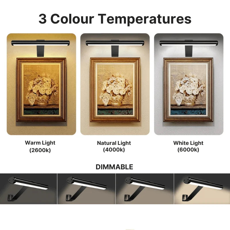 LED rechargeable picture light