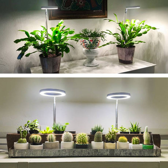 LED Plant Growth Lamp – Circular Design with 5 Brightness Levels, 4 Height Adjustments & Timer Options