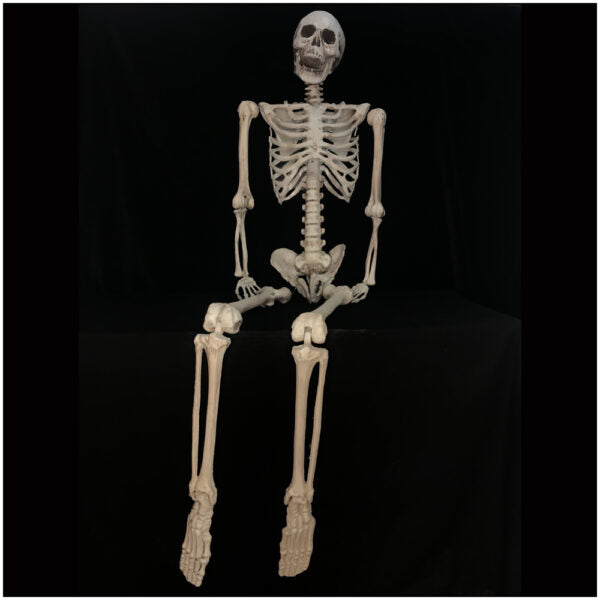 Hanging Skeleton in Spider Cocoon – 5ft Halloween Prop with Light-Up Eyes, Faux Webbing & Upside-Down Hanging for Haunted House Decor