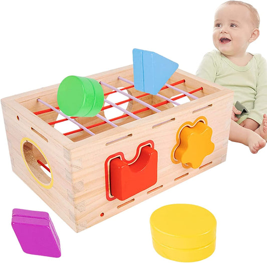 Montessori Geometry Shape Sorter