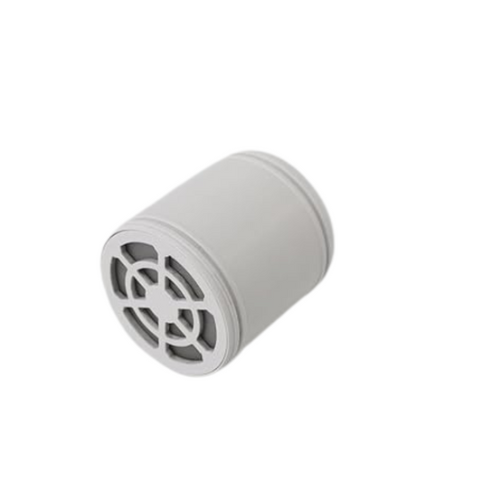 Subscription Replacement Filter  20 Stage Wall Showerhead