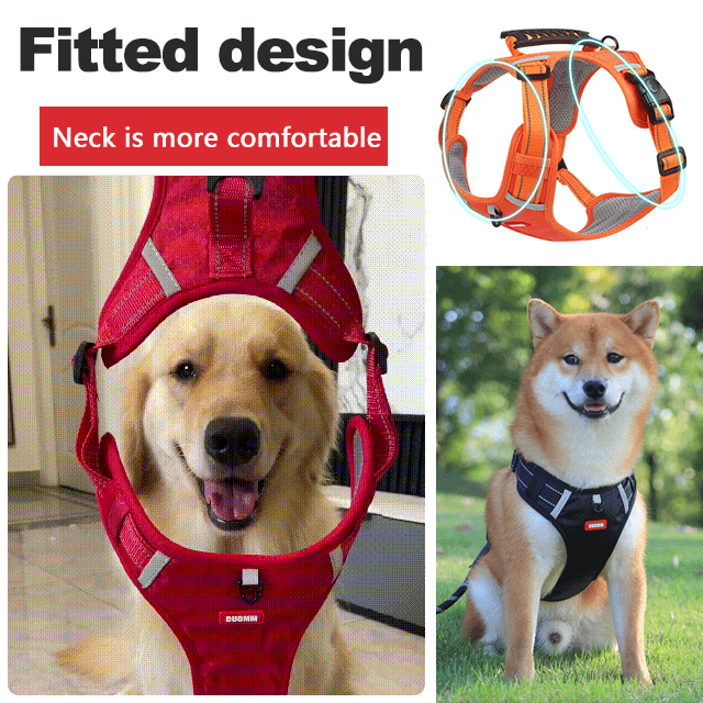 Strain-free dog harness for pets
