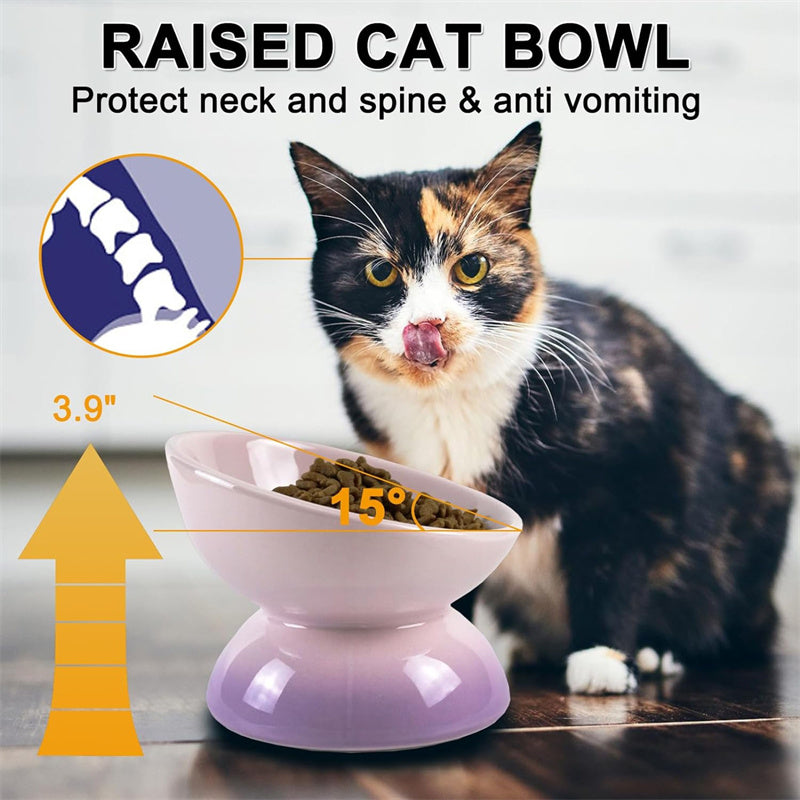 Gradient Color Ceramic Raised Cat Bowls
