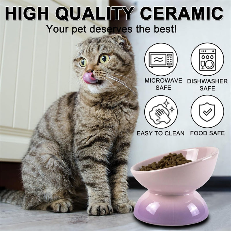 Gradient Color Ceramic Raised Cat Bowls