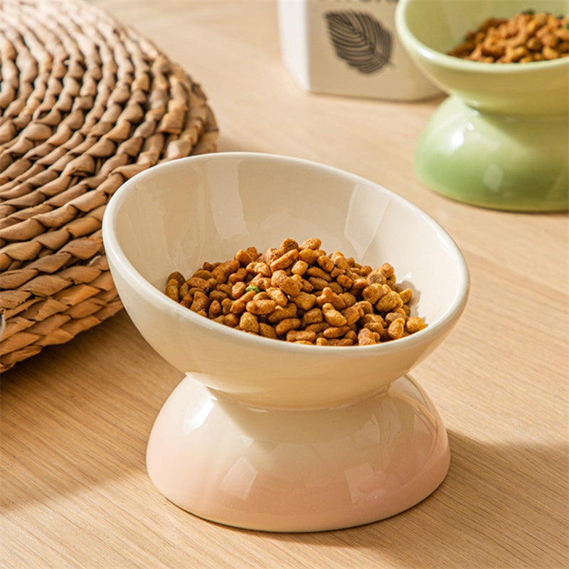 Gradient Color Ceramic Raised Cat Bowls