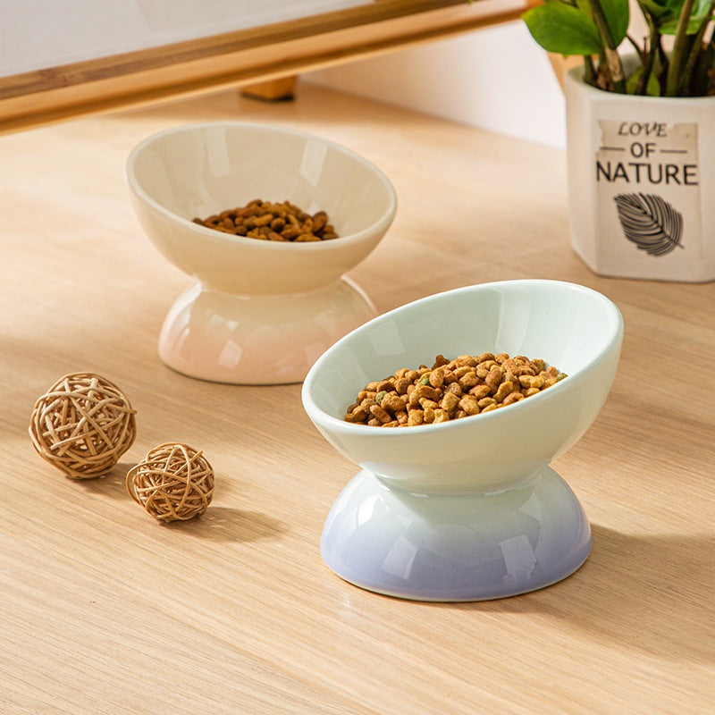 Gradient Color Ceramic Raised Cat Bowls