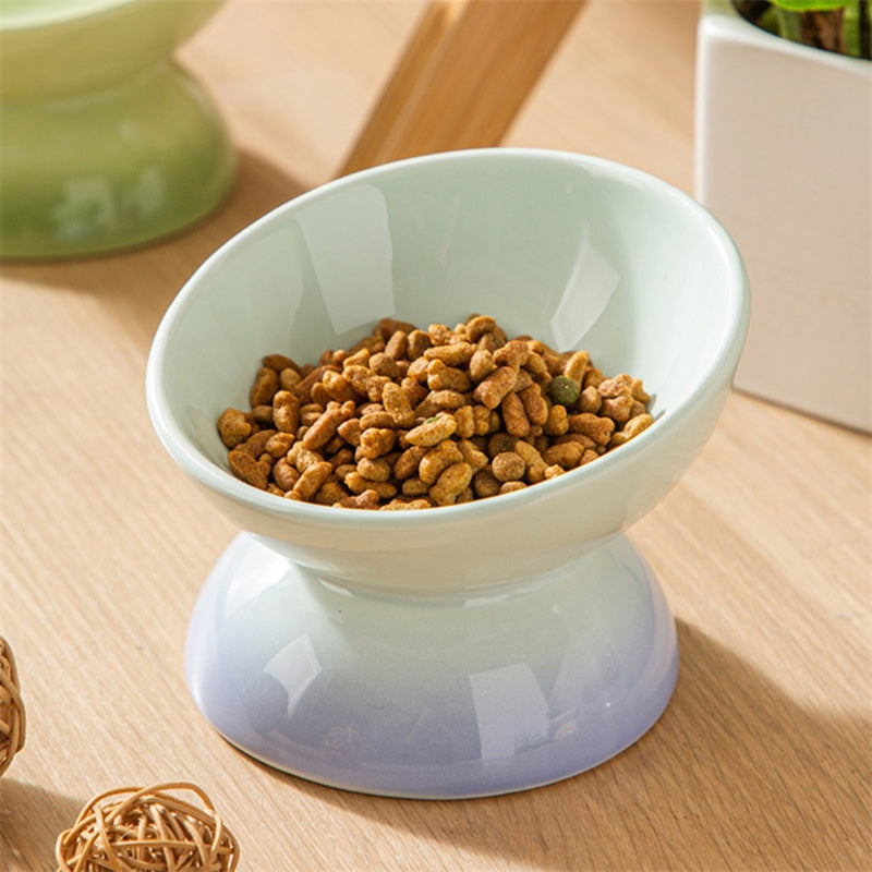 Gradient Color Ceramic Raised Cat Bowls