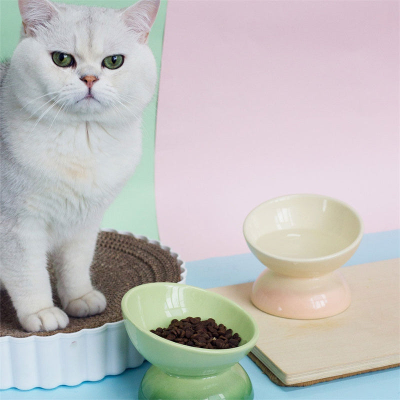 Gradient Color Ceramic Raised Cat Bowls