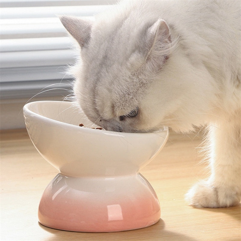 Gradient Color Ceramic Raised Cat Bowls