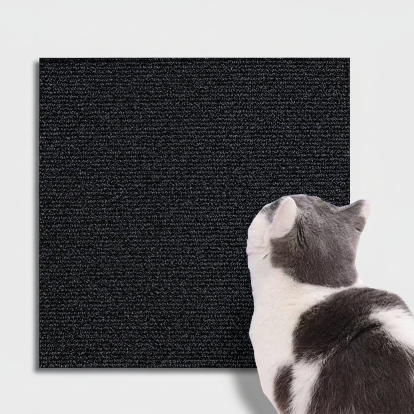 Cat Scratch Protector Furniture Guard Tape