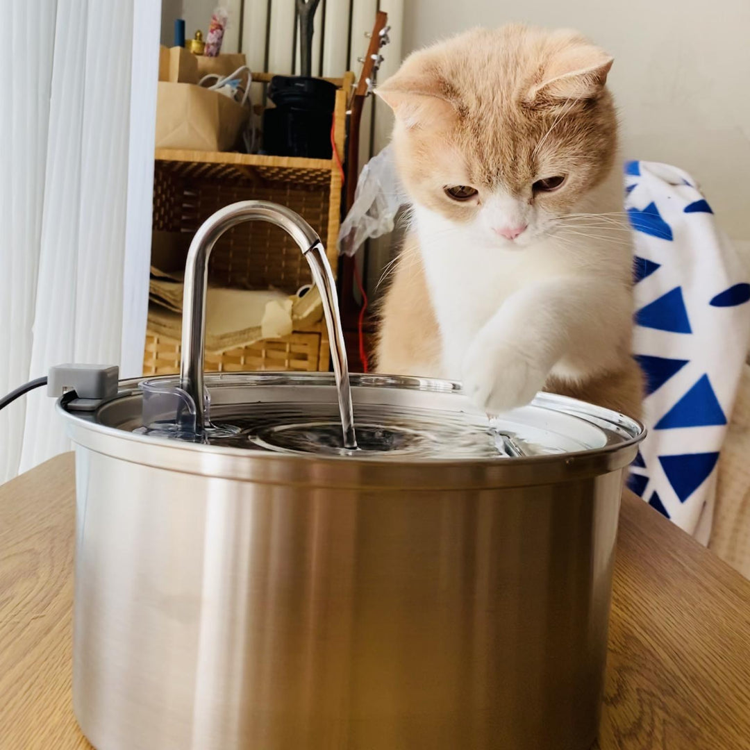 3.2 L Automatic Pet Fountain 304 Stainless Steel Cat Water Dispenser with Filter