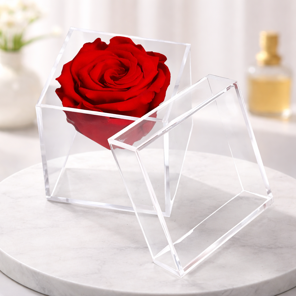 Eternals Rose Acrylic Display Box