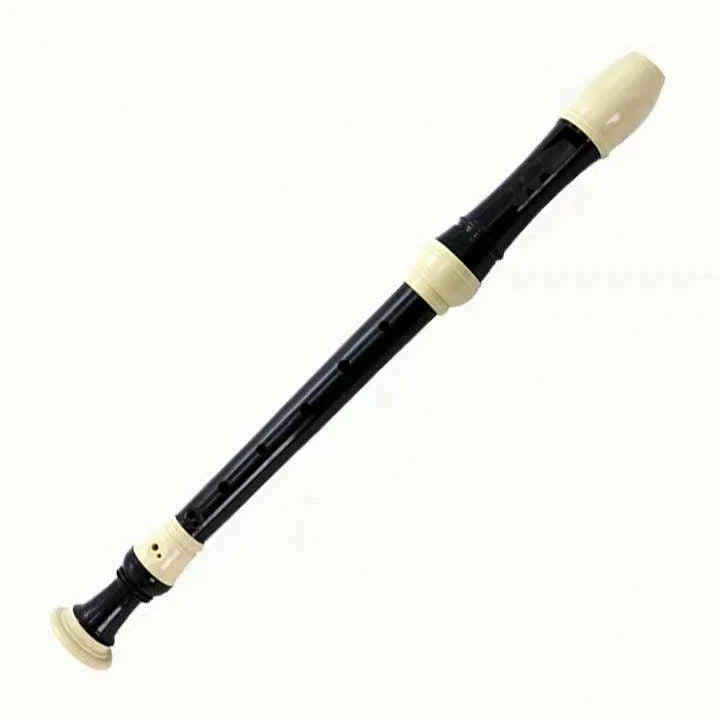Removable Soprano 8-Hole Recorder German/British Style for Beginners with Cleaning Rod – Portable School Musical Instrument