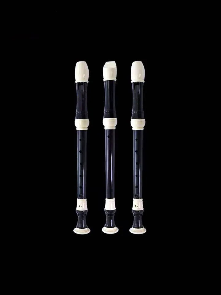 Removable Soprano 8-Hole Recorder German/British Style for Beginners with Cleaning Rod – Portable School Musical Instrument