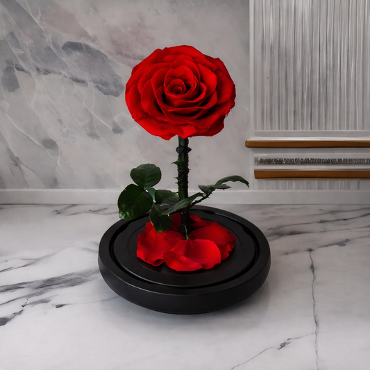 Home Decor Preserved Rose Glass Dome Display