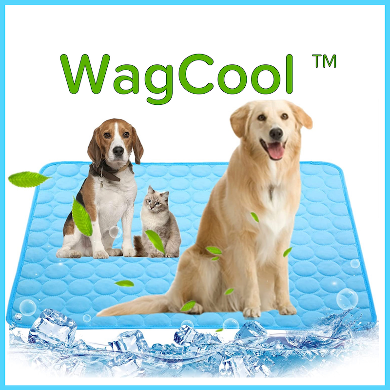 Dog Cooling Mat (Original)