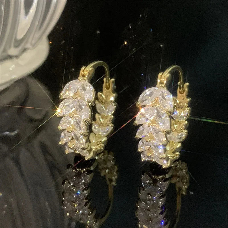 Hoop Earrings
