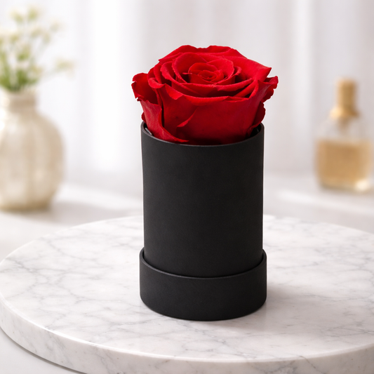 Preserved Rose Gift Suede Display Tube Home Decor