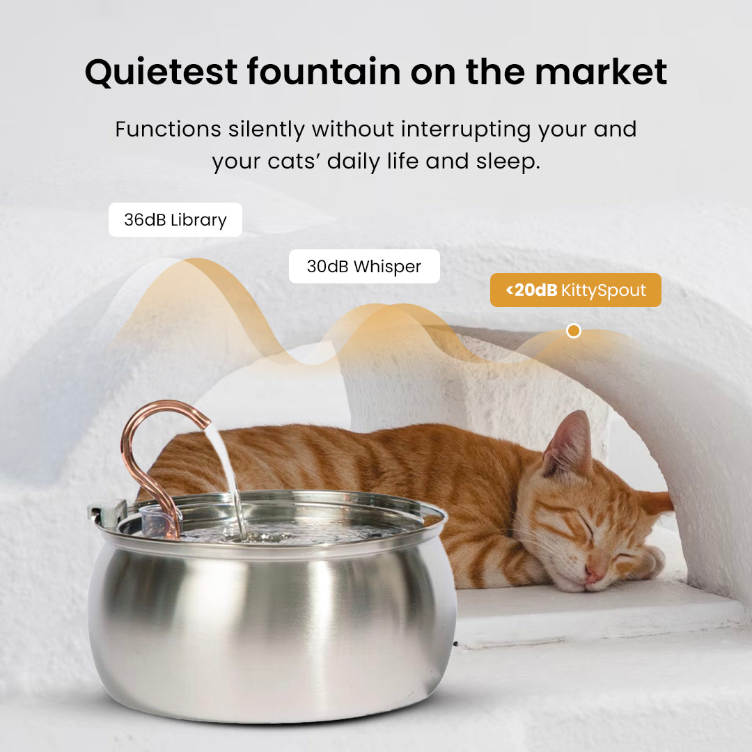 3.2 L Automatic Pet Fountain 304 Stainless Steel Cat Water Dispenser with Filter