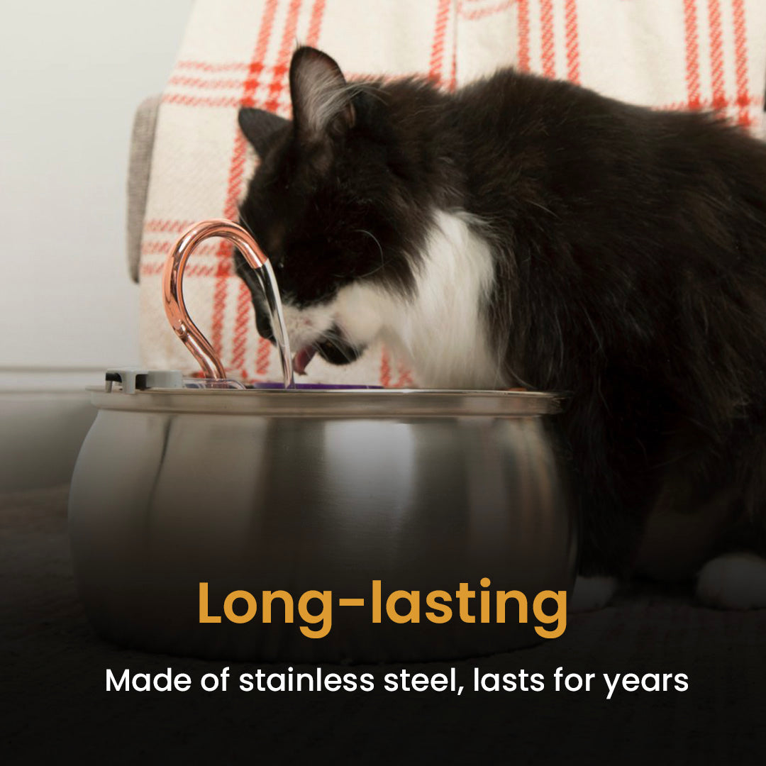 3.2 L Automatic Pet Fountain 304 Stainless Steel Cat Water Dispenser with Filter