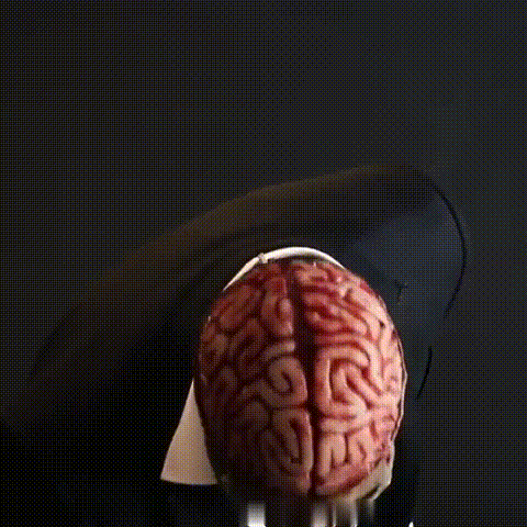 Skull Mask with Brain Detail