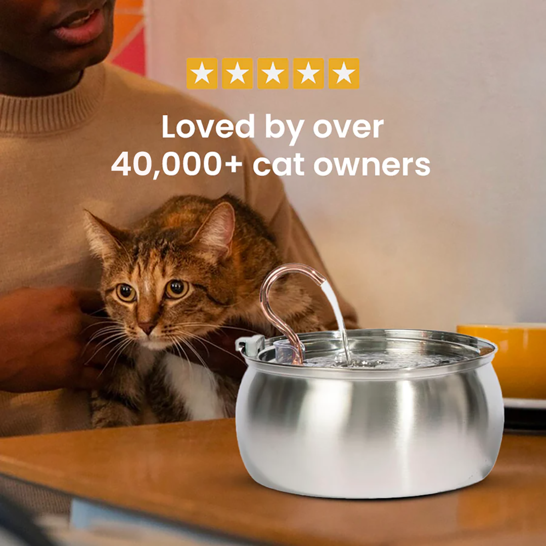 3.2 L Automatic Pet Fountain 304 Stainless Steel Cat Water Dispenser with Filter