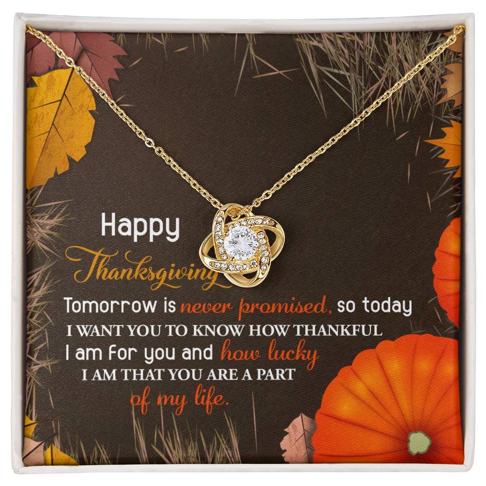 Thanksgiving - How Lucky - Love Knot Necklace