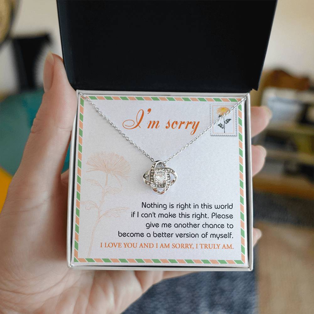 Sorry - Another Chance - Love Knot Necklace