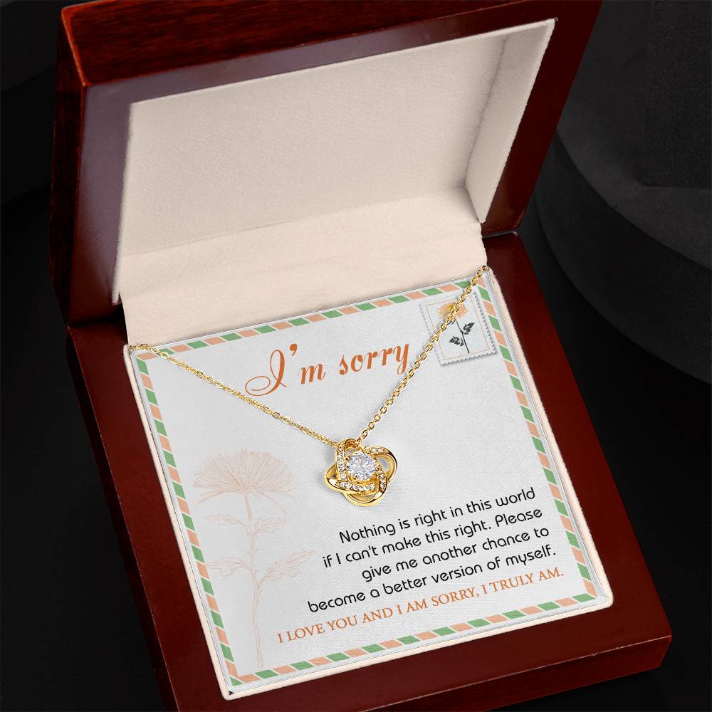 Sorry - Another Chance - Love Knot Necklace