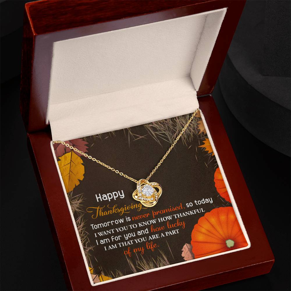 Thanksgiving - How Lucky - Love Knot Necklace