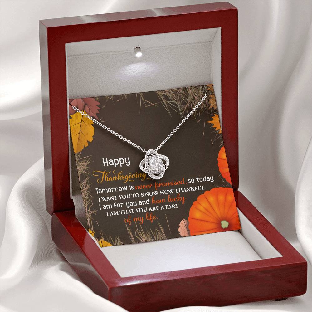 Thanksgiving - How Lucky - Love Knot Necklace