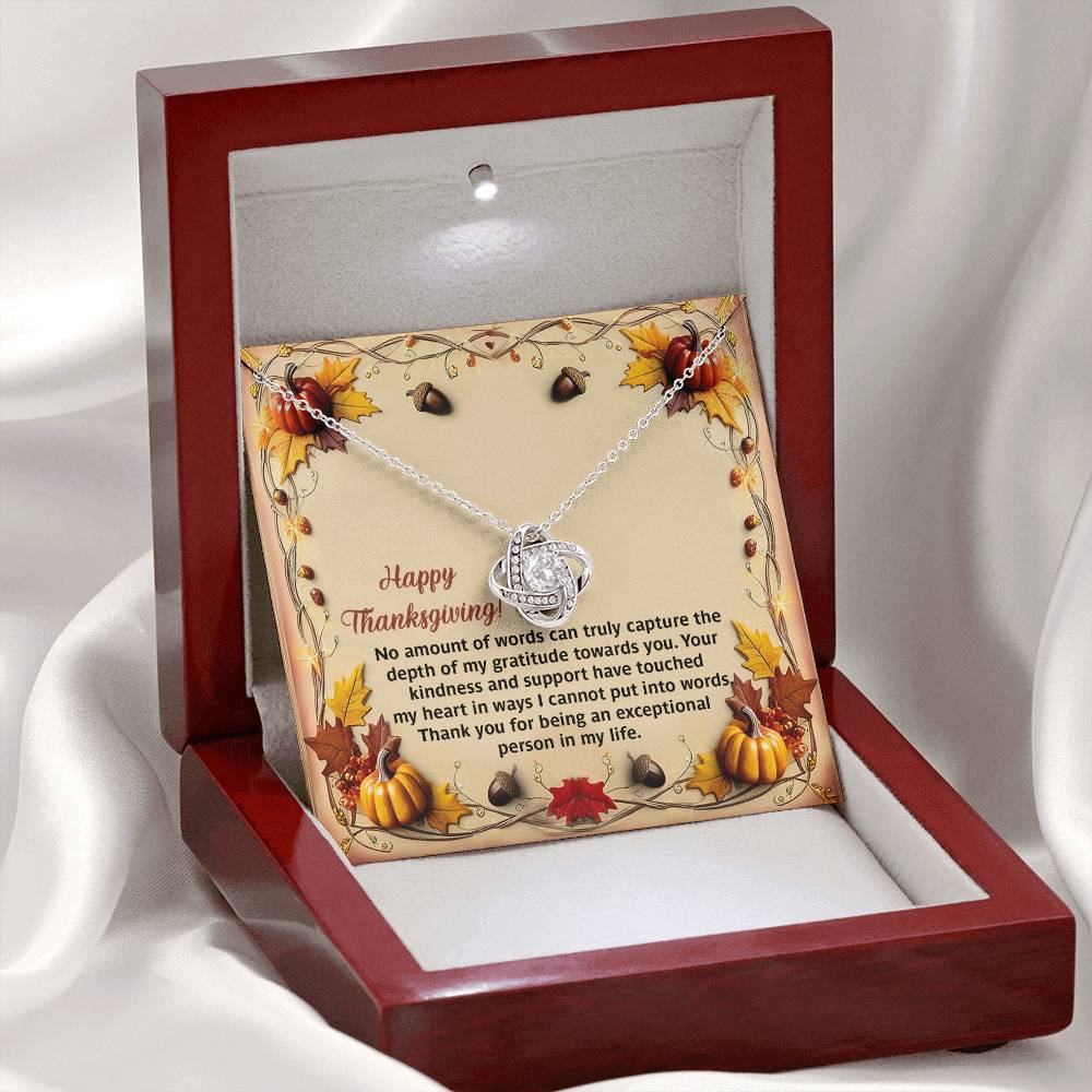 Thanksgiving - Put Into Words - Love Knot Necklace