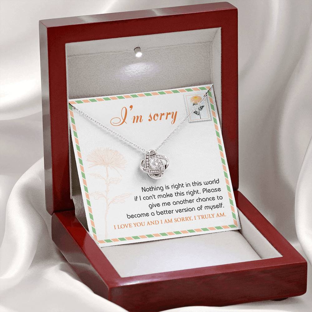 Sorry - Another Chance - Love Knot Necklace