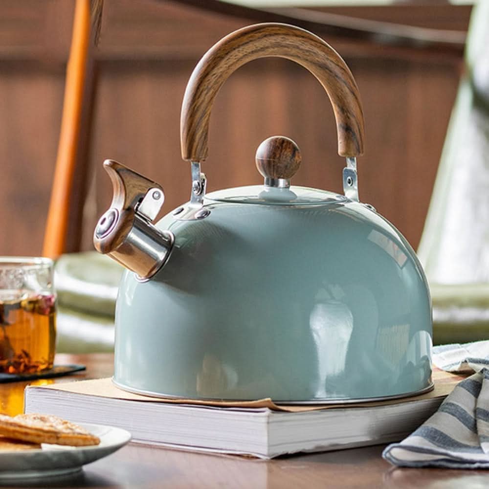 BOILVIA – 3L Whistling Stainless Kettle with Comfort Grip Handle