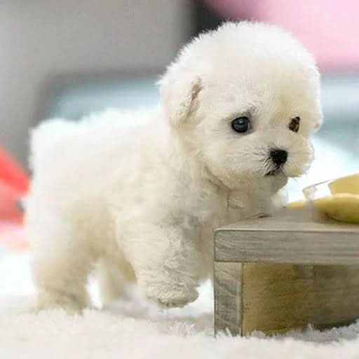 FurMotion Friend – Lifelike Plush Dog for Kids & Collectors