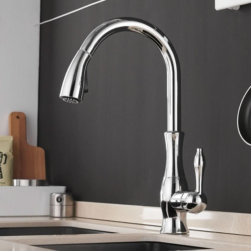 Flexflow – Extendable Stainless Steel Kitchen Tap for Flexible Rinsing