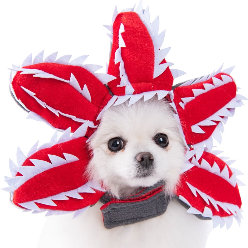 Funny Dog Costume with Novelty Holiday Designs and Adjustable Closures Halloween
