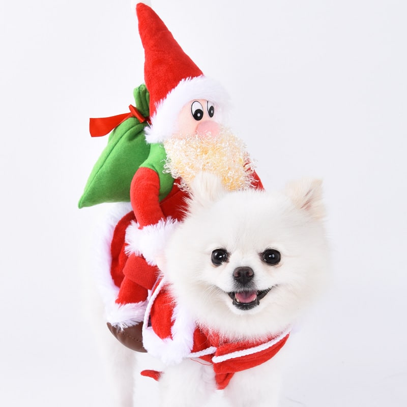 Funny Dog Costume with Novelty Holiday Designs and Adjustable Closures Halloween