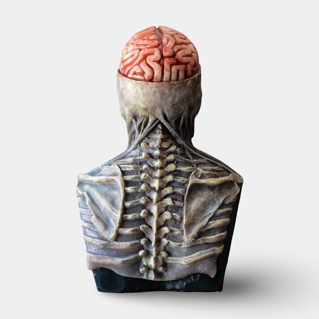 Halloween Skeleton Bust Garage Door Cover with Exposed Brain Detail for Spooky Party Decoration