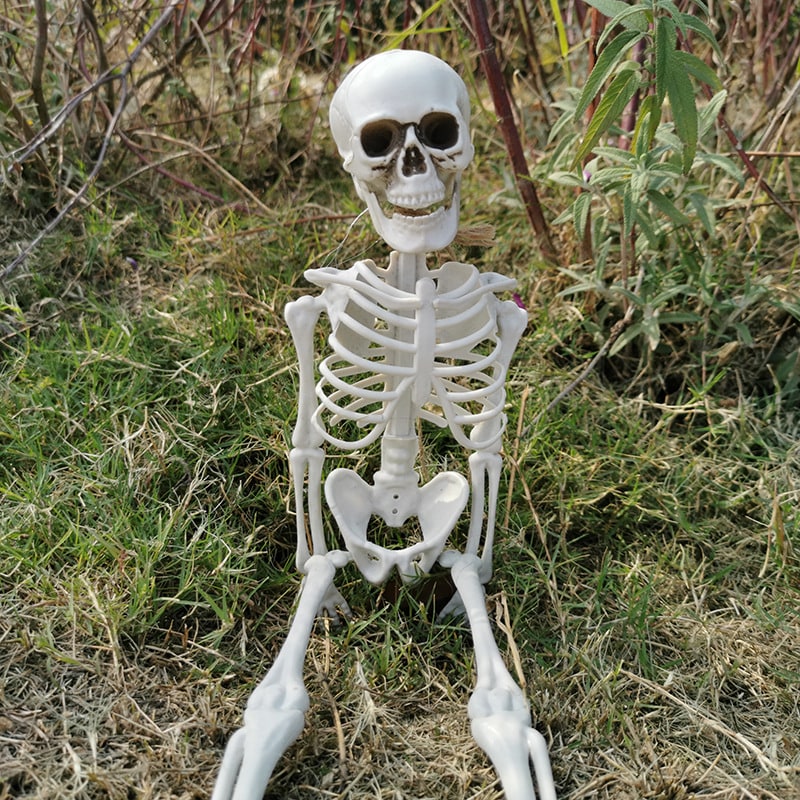 Halloween Skeleton Decoration and Garage Door Cover Posable Plastic Prop 12 Foot Tall