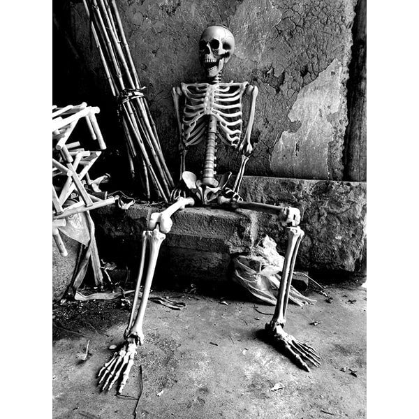Halloween Skeleton Decoration and Garage Door Cover Posable Plastic Prop 12 Foot Tall